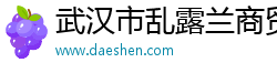 武汉市乱露兰商贸有限公司